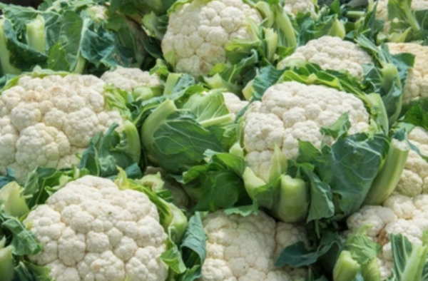 Vegetarian Option- Potatoes, Corn, Broccoli, Cauliflower